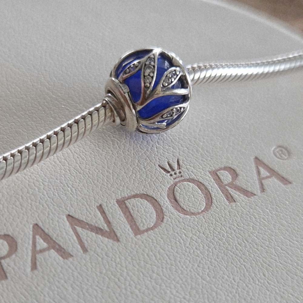 Pandora Charm
